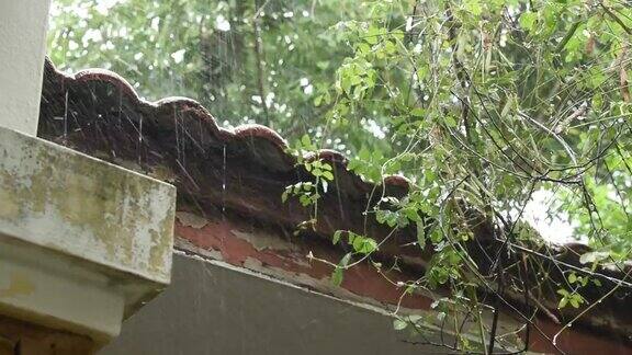 大雨打在房屋的墙上和屋顶上