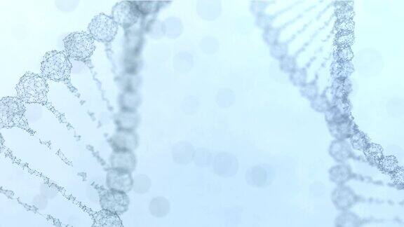 两个旋转的神经丛DNA链脉冲运行-浅蓝色版本