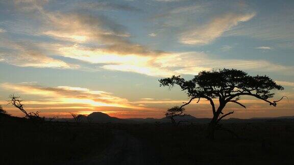 非洲荒野日落