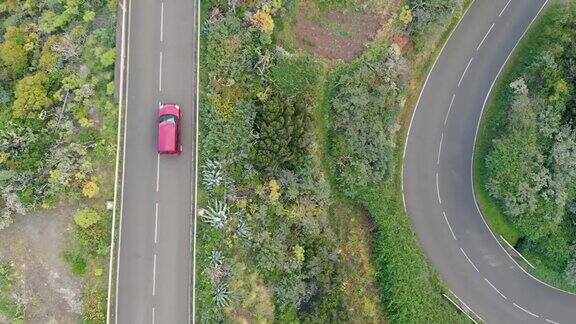 鸟瞰图-几辆汽车通过蛇形山脉中的大量植物在国家公园阿纳加特内里费加那利群岛西班牙
