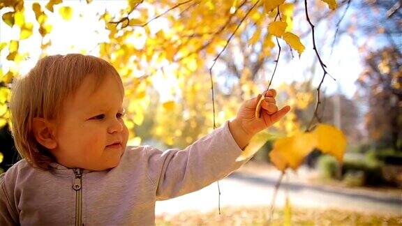 可爱的小男孩正在玩秋天的树叶