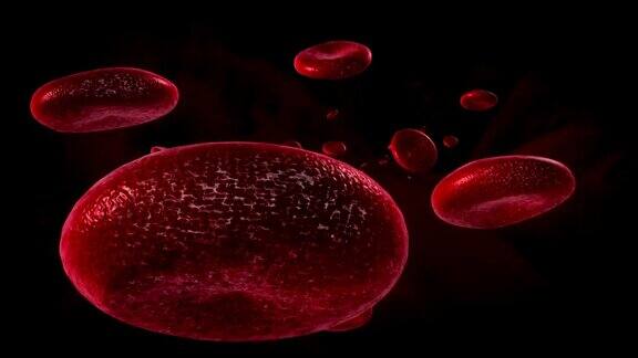 血细胞3D动画