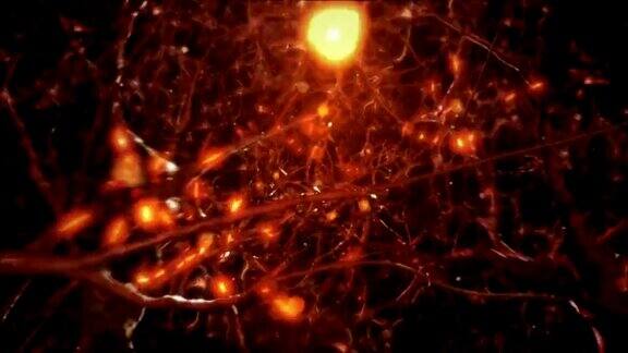 神经元细胞在人类的眼睛红色的
