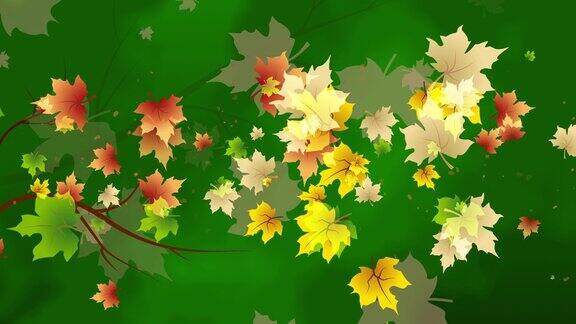 五彩缤纷的枫叶在风中乱飞秋天的动画在一个绿色的抽象背景与树枝循环运动图形