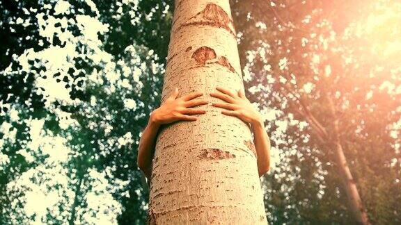 拥抱一棵树