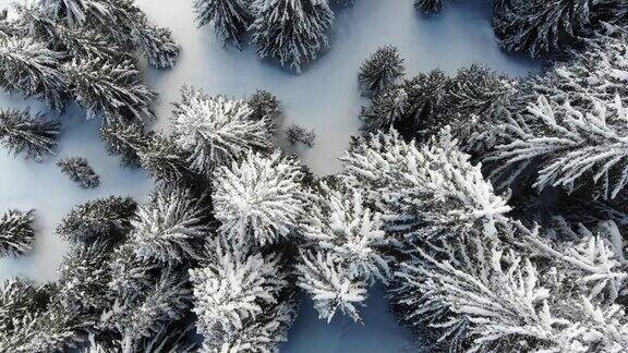 雪山森林天线