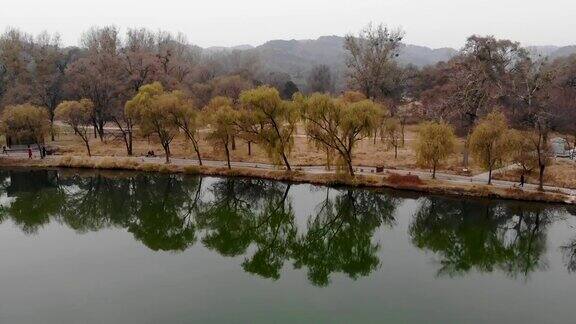 鸟瞰图黄色干燥的草地和黑暗的树与山后面