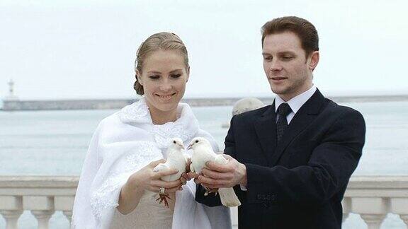 婚礼上的白鸽