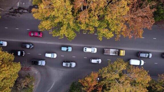 秋天的树木和街上的车辆