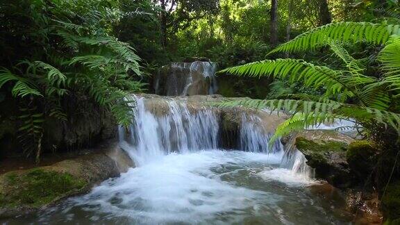 泰国北部热带雨林中的瀑布