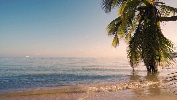 美丽的日出在热带海滩和异国情调的棕榈树