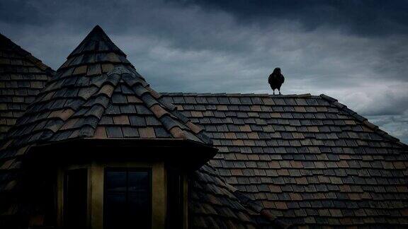 老房子屋顶上的乌鸦