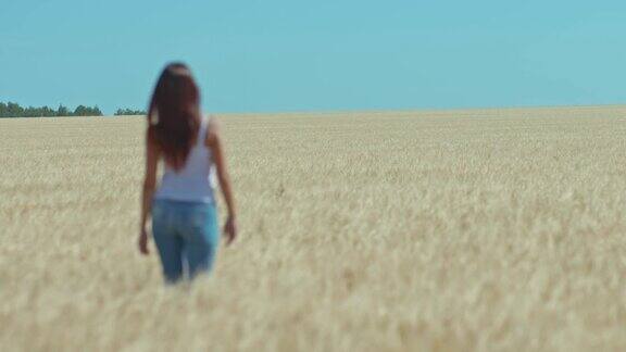 穿着牛仔裤的苗条女子走过一望无际的金色田野和蔚蓝的天空32、长发美人走麦穗穗幸福的生活4kProRes