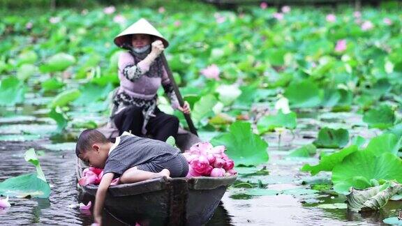 越南同塔省塔塔Muoi的大湖里越南男孩在传统木船上玩粉色荷花的花瓣而妈妈在大湖里文化和生活理念