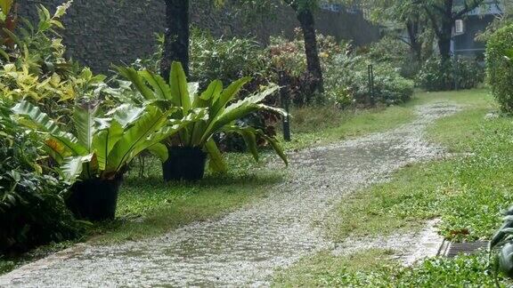 Rain位于热带国家倾盆大雨下在街上
