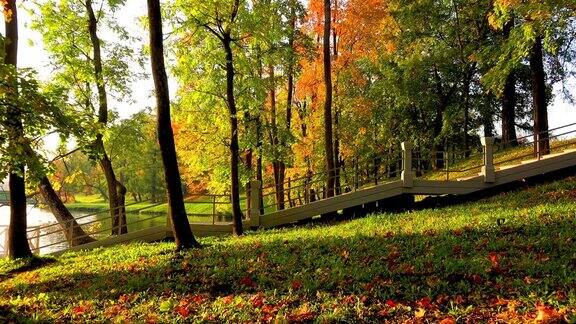 风景公园在初秋的清晨