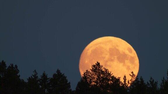 夜空中巨大的血月