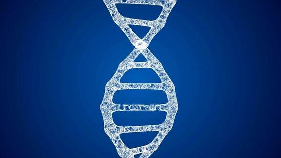 DNA序列DNA编码结构与荧光由神经丛