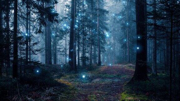 神秘的黑暗雾蒙蒙的森林小径与神奇的飞行萤火虫童话故事