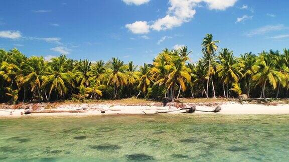 加勒比海中的天堂般的热带岛屿野生异国野生海滩全景
