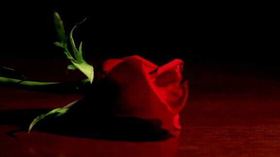 单瓣红玫瑰放在木桌子上