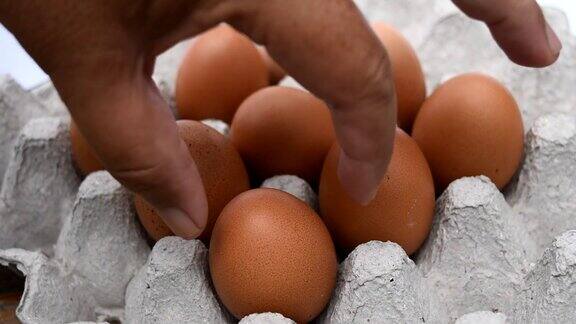 人的手拿着鸡蛋盘里的鸡蛋