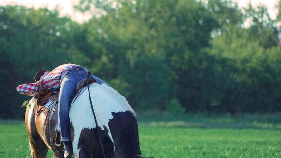 牛仔骑着马在田野上行走骑手躺在马背上