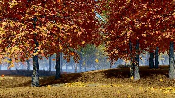 秋天的森林里枫叶慢慢地落下