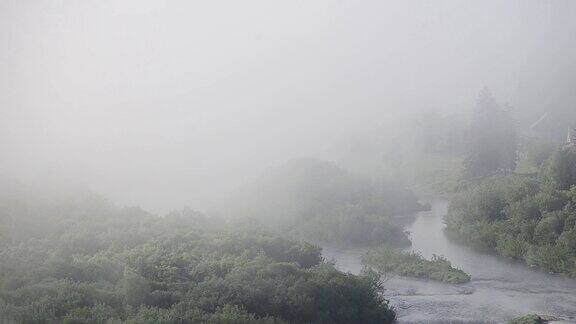 浓雾笼罩着茂密的针叶林山河在晨雾中