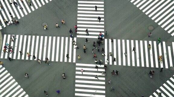 行人十字路口人行横道银座人行横道汽车交通的4K视频日本