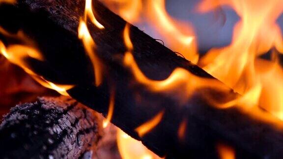 特写木梁在火焰森林火灾和破坏纵火紧急情况