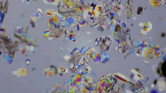偏振光显微镜下的蜂蜜晶体