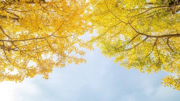 延时:日本东京立川花园美丽的天空