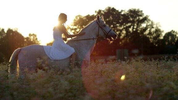 近距离观察:日出时身着白色连衣裙的女孩骑在盛开的粉红色田野里