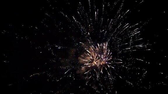 在庆祝活动中各种颜色的烟花在夜空中爆炸