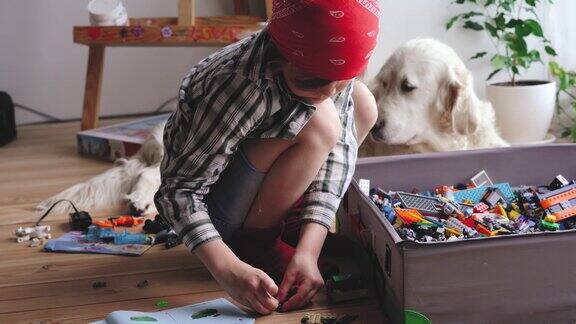 对宠物的爱一个小男孩收集一个构造器一只白色的大狗躺在附近