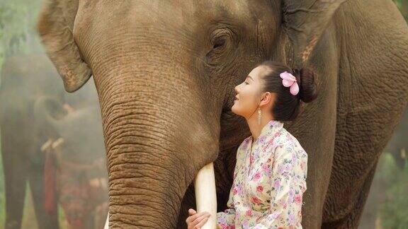 温柔的年轻迷人的亚洲女人在传统服装与大象理念:爱动物温柔爱自然