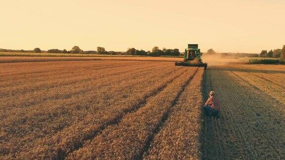 联合收割机在农场收割小麦