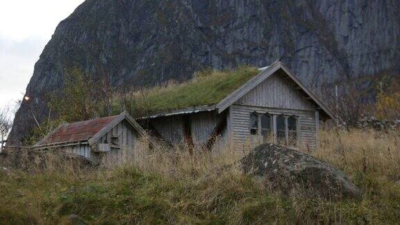 屋顶上有草的房子