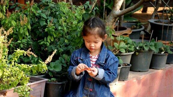 亚洲小女孩吃草莓