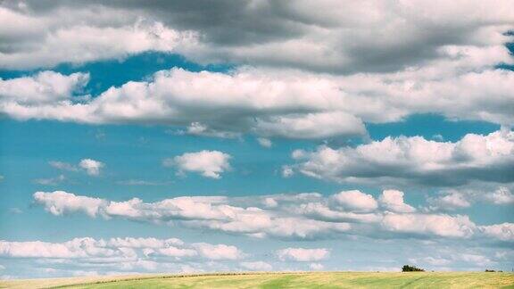 夏季乡村乡村田野草地与天空中蓬松的云