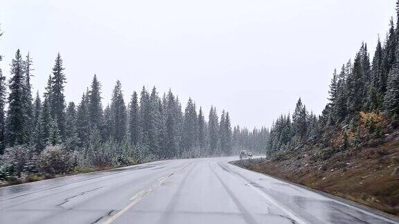 汽车在暴风雪中驾驶能见度很低的国家公园