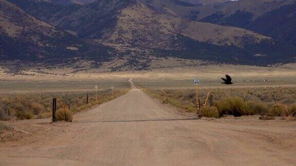 ZOOMEFFECTPOV:驾车沿着笔直的土路驶向美国科罗拉多州的落基山脉