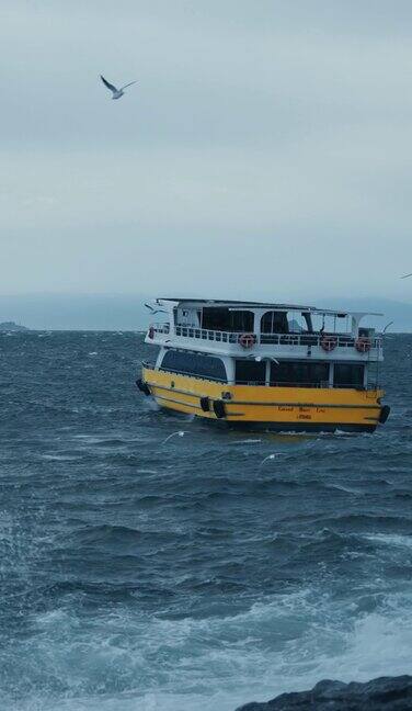 黄色的旅游船在波涛汹涌的海面上航行海鸥飞过海面-垂直