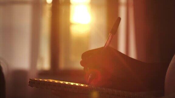 一个女人在日落时写日记