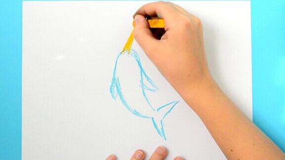 我们画了一只海豚他们用这个孩子画了这幅画