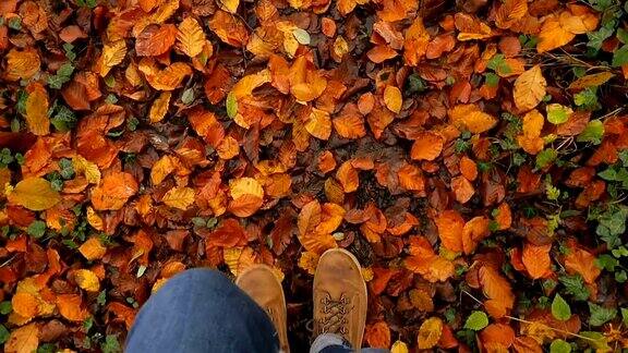 人走在满是树叶的地上