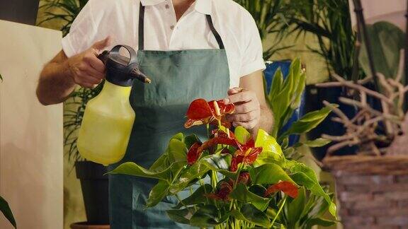 在花店喷洒植物和花盆的工人