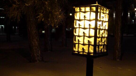 在公园明亮的街灯下飘落的雪花下雪的冬天假日