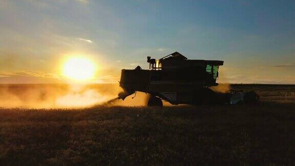 日落时背光下联合收割机的剪影在田里收割小麦